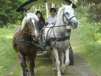 Bauernhochzeit bei Eulalia