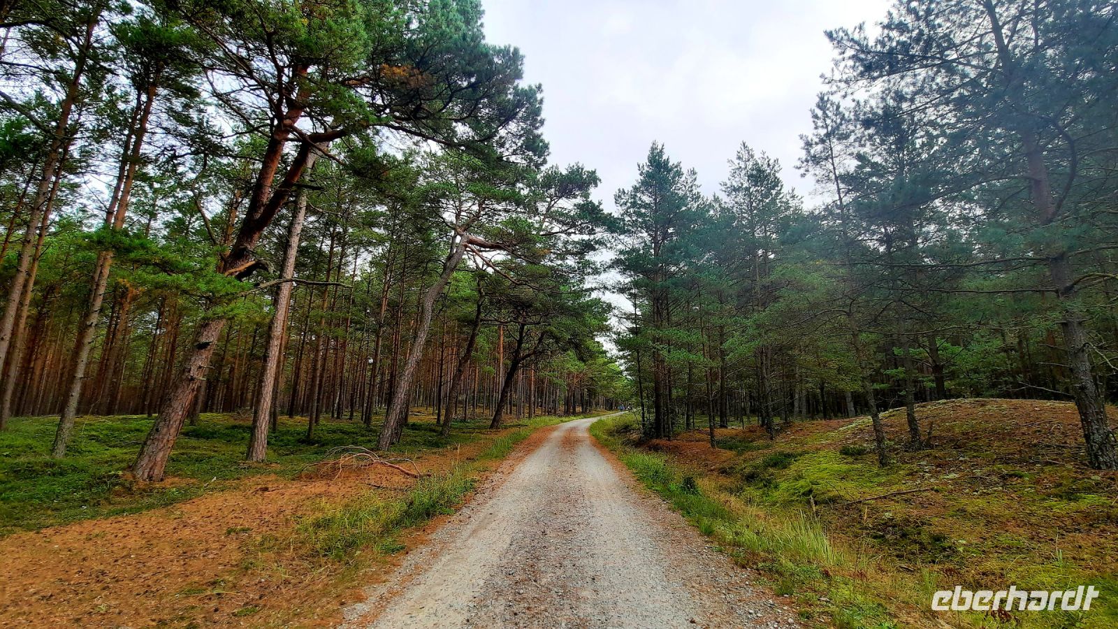049 - Radweg von Pogorzelica bis Mrzezyno