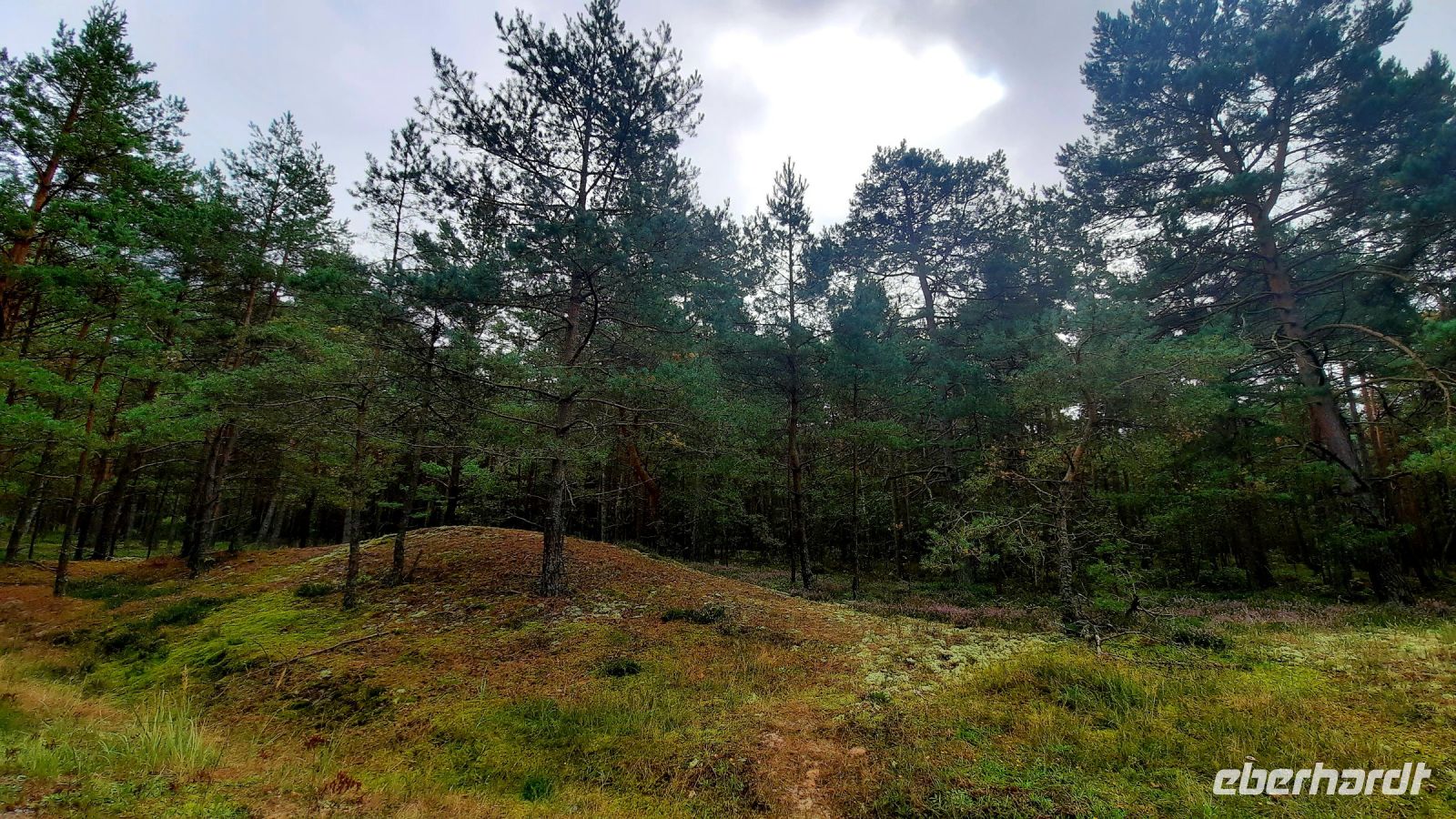 050 - Radweg von Pogorzelica bis Mrzezyno