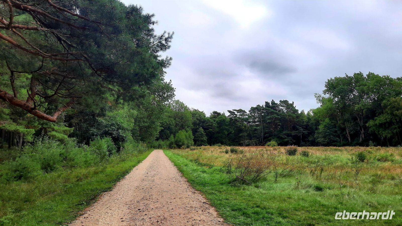059 - Radweg von Pogorzelica bis Mrzezyno