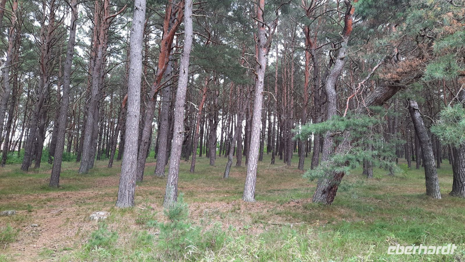 060 - Radweg von Pogorzelica bis Mrzezyno