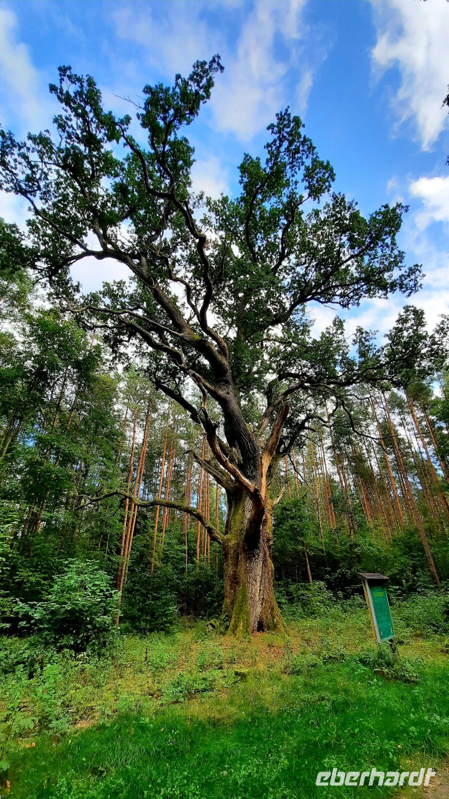 086 - Radweg bis Studnica
