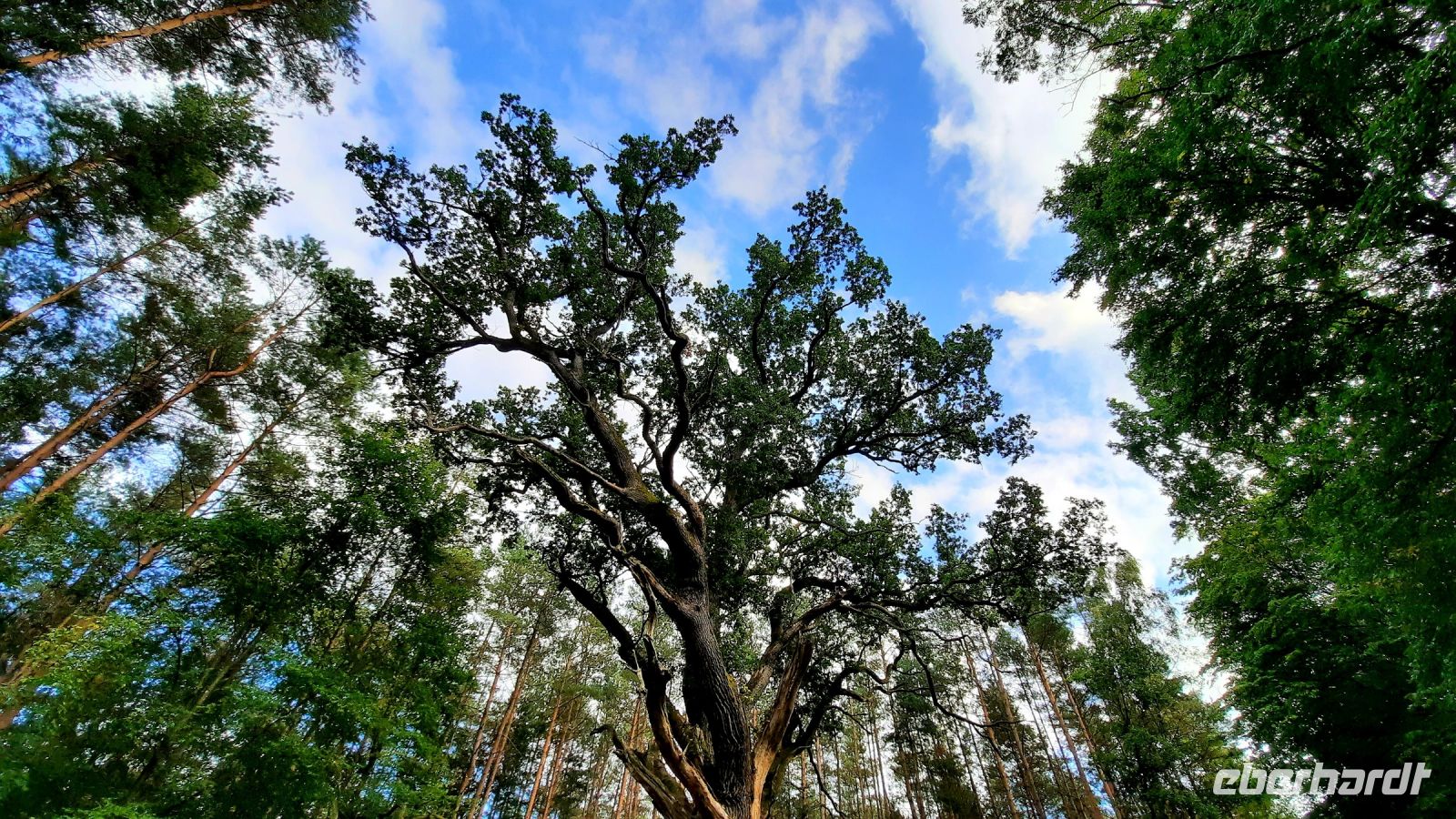 087 - Radweg bis Studnica