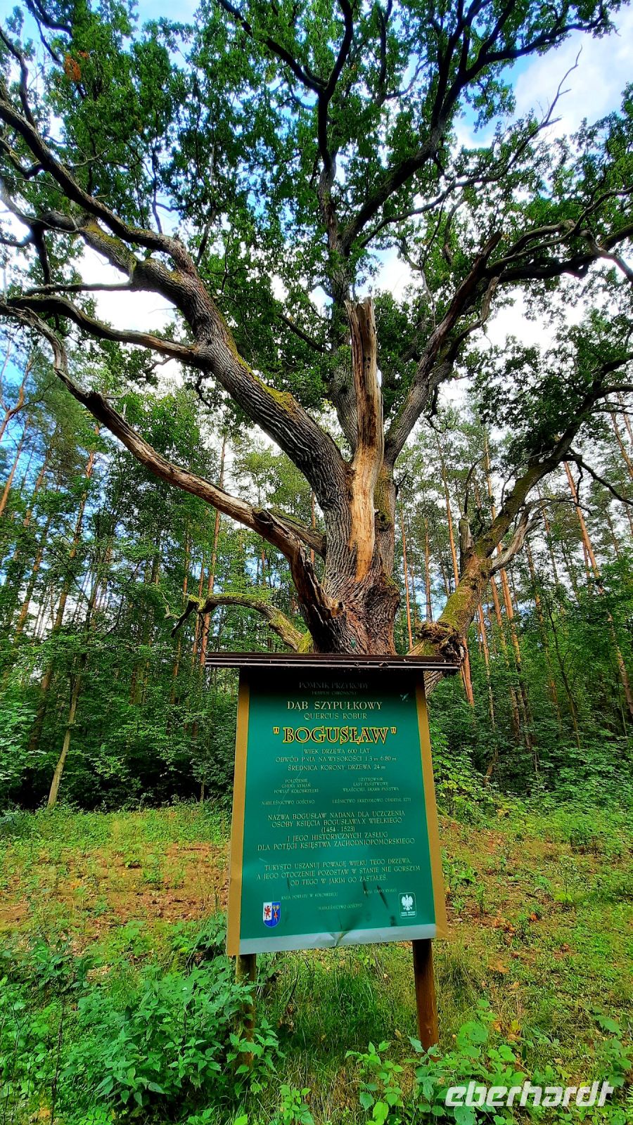 088 - Radweg bis Studnica