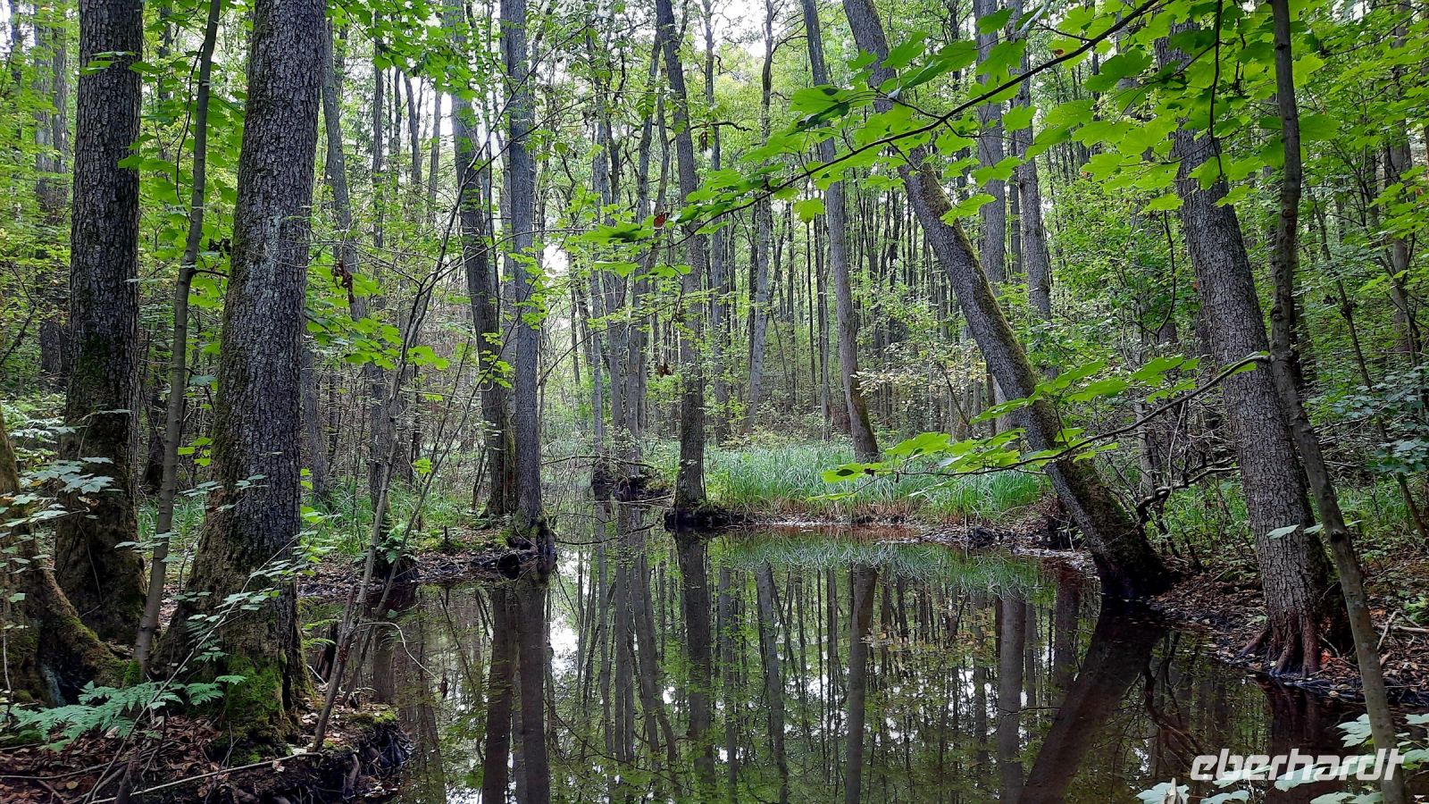 089 - Radweg bis Studnica