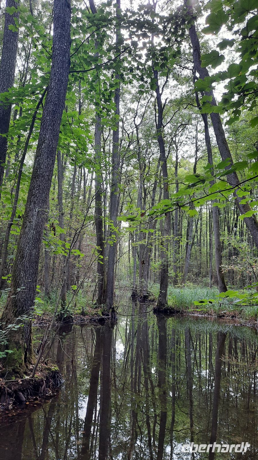 090 - Radweg bis Studnica