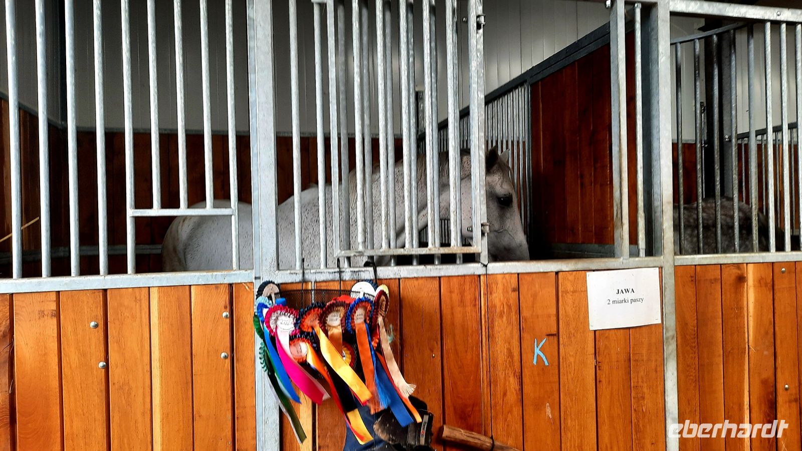 121 - Reiterhof von Budzistowo