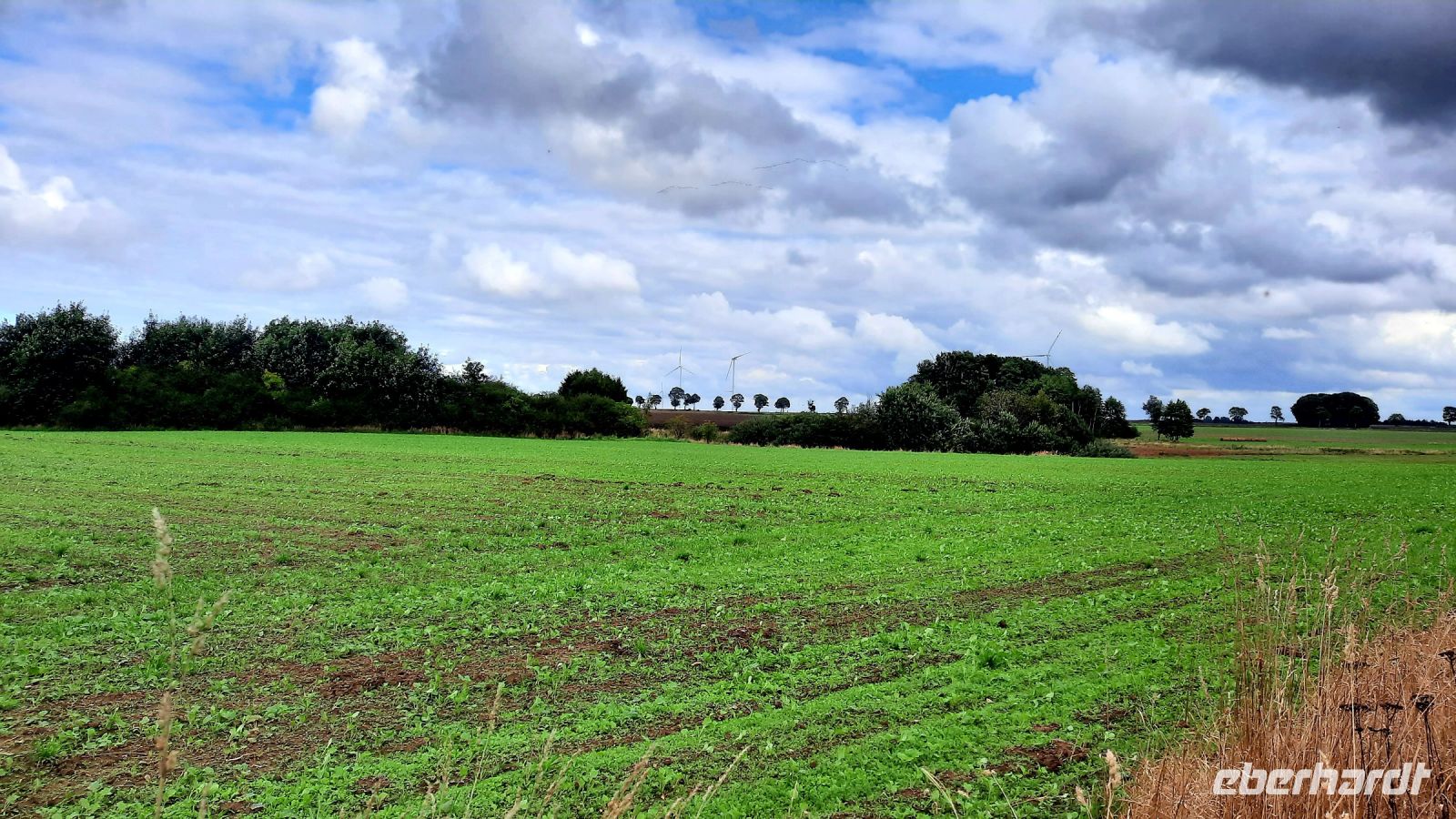 124 - Radweg bis Dygowo