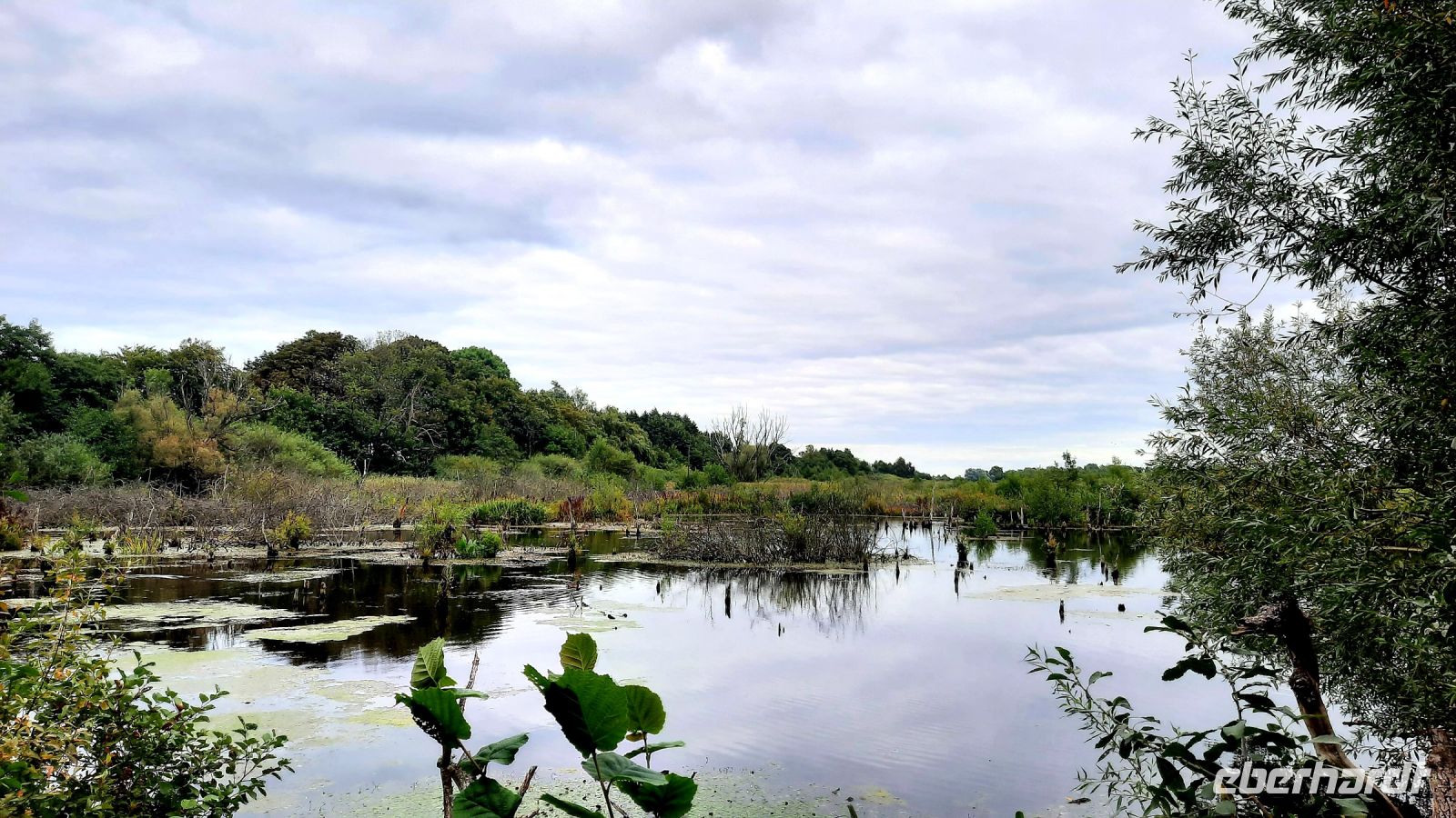 129 - Ekopark Wschodni bei Kolberg