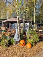 herbstliche Dekoration