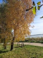 der goldene Herbst