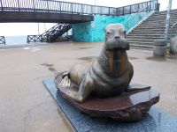 DSCN5373.JPG  Mors in Mielno