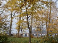 DSCN5418.JPG   Camminer Bodden