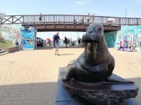 Walross-Statue in Mielno