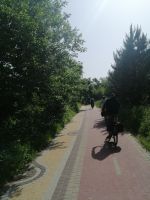 der Fahradweg entlang der Ostseeküste ist top!