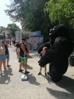 auch viele Polen sind heute unterwegs