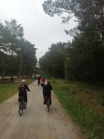 der Fahrradweg führte durch den Kieferwald