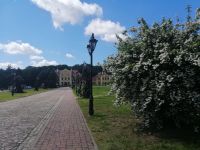 Schloßpark in Ryman