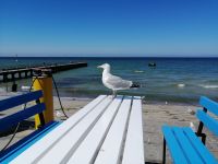 beim Fischessen sind wir nicht ganz alleine