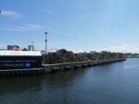 Besichtigung des Kolberger Hafens