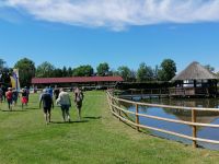 Führung durch Pferde-Gestüt in Budzistowo