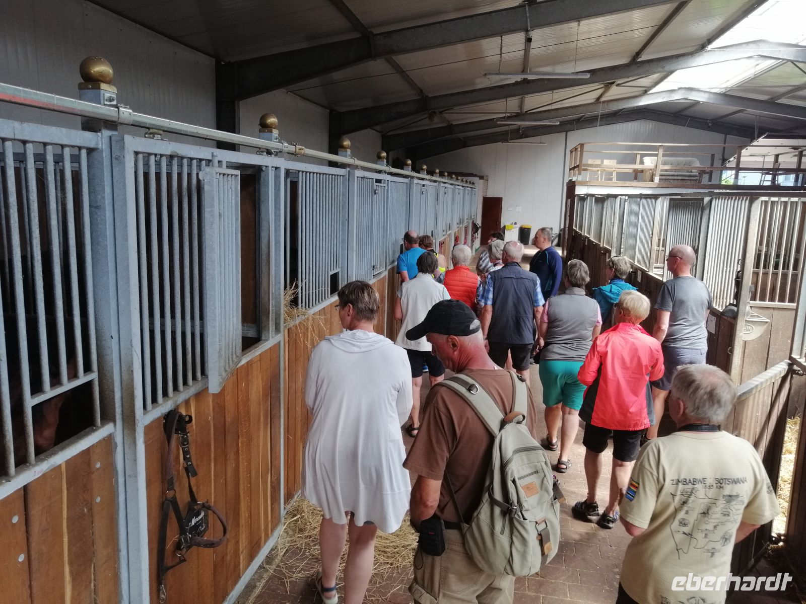 Führung durch Pferde-Gestüt in Budzistowo