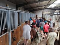 Führung durch Pferde-Gestüt in Budzistowo