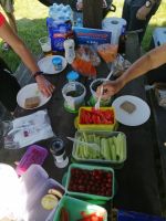 Picknick in Toporzyk