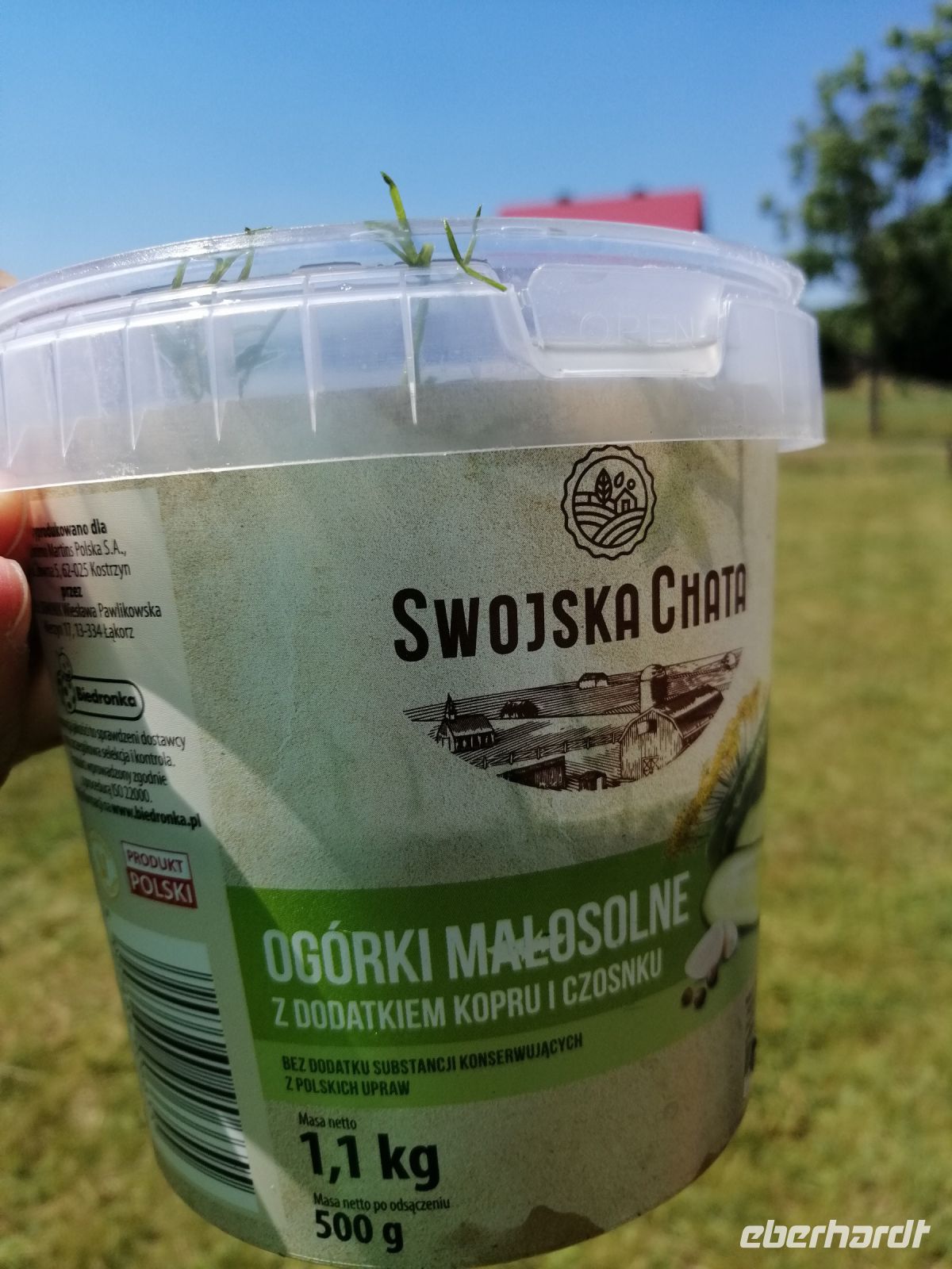 leckere Knoblauchgurken