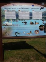 Lebenszonen des Zezinsee