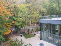 Blick auf Fußgängerpromenade vom Shuum Hotel