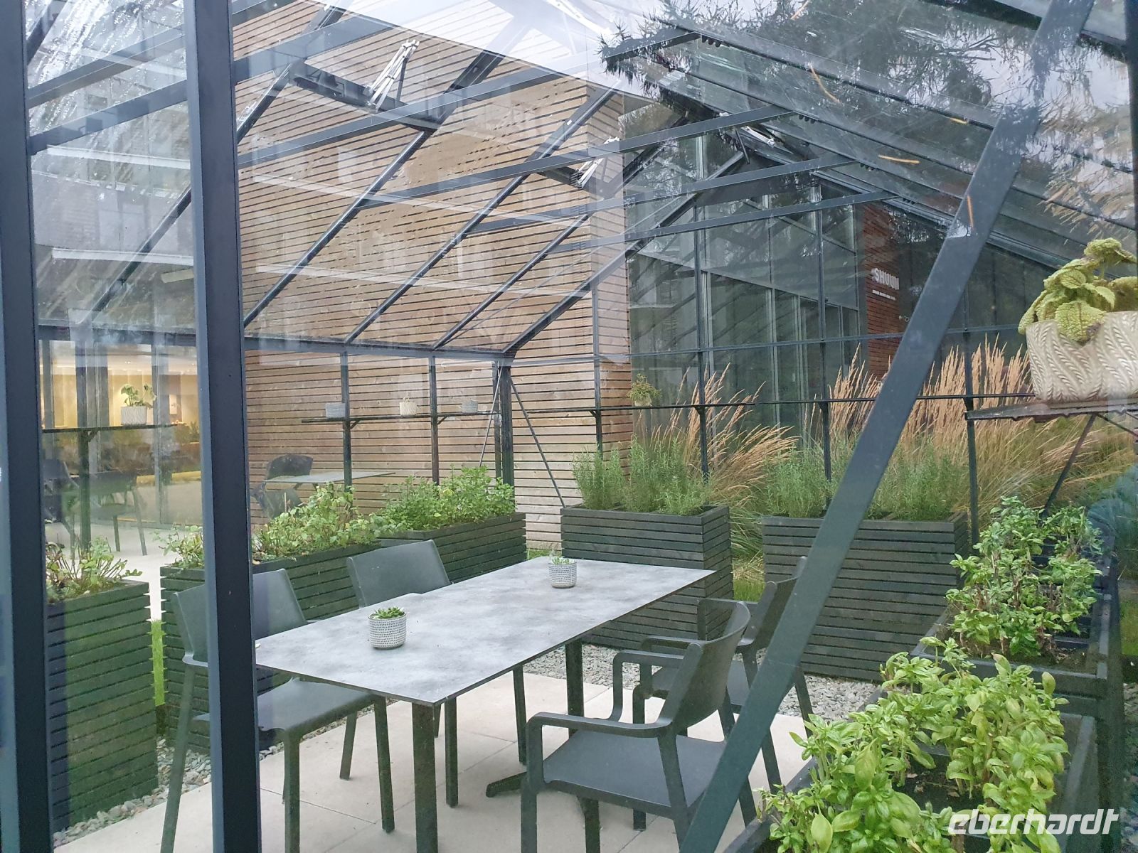 Kräuter für unser Detox-Menü