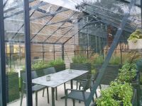 Kräuter für unser Detox-Menü