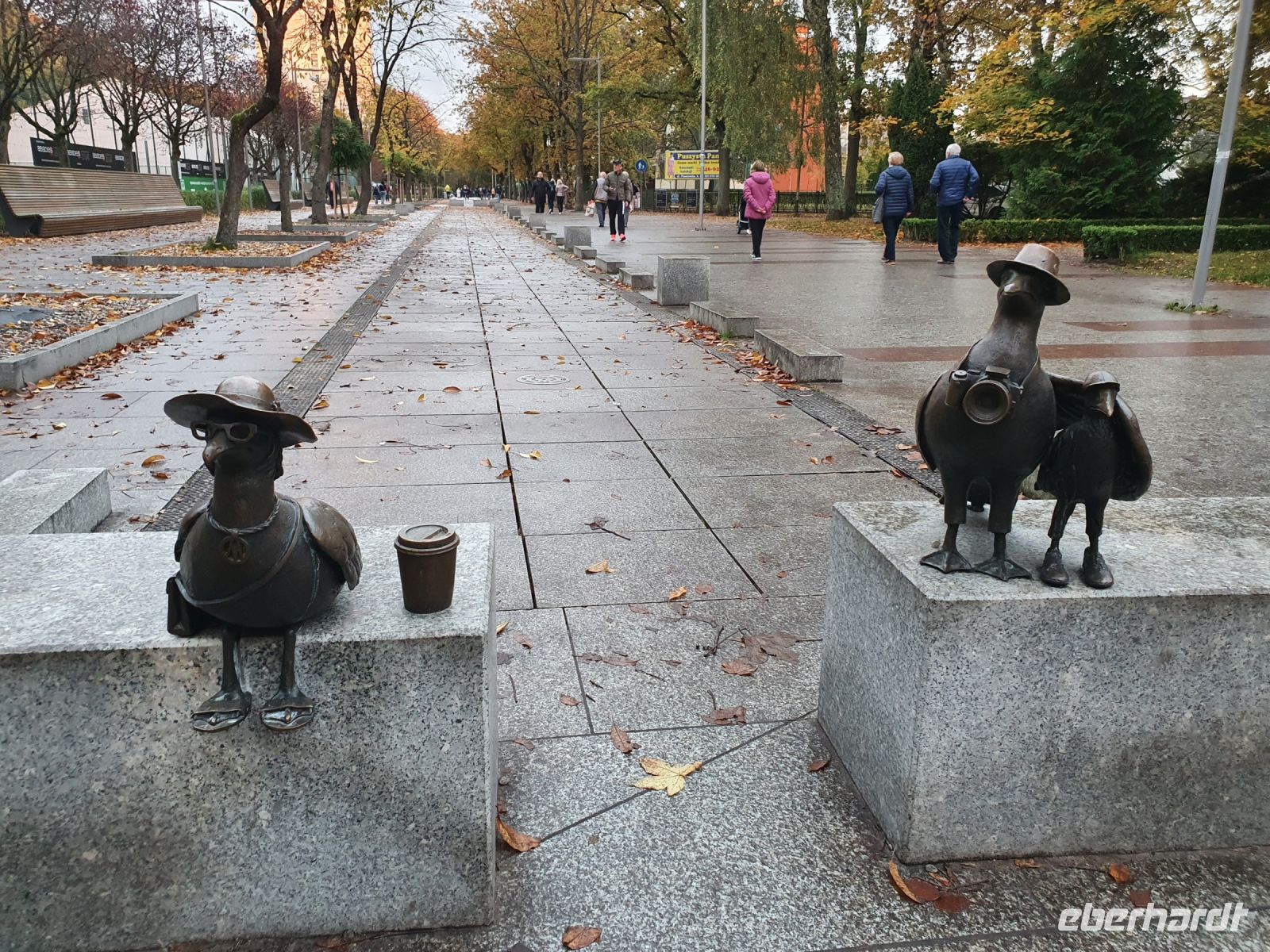 Möwenfamilie im Urlaub