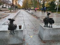 Möwenfamilie im Urlaub