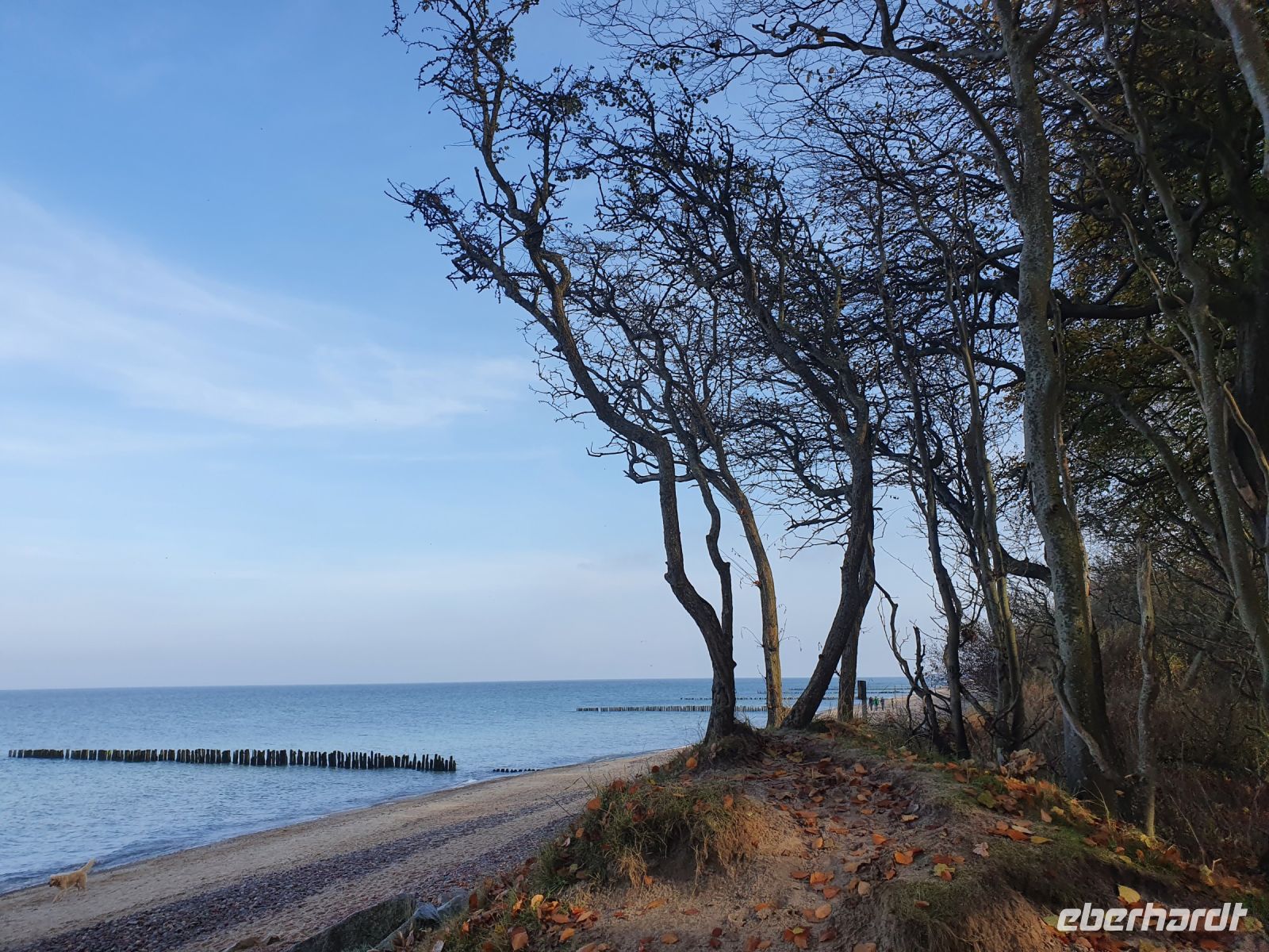 Spaziergang durch Ekopark 1