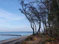 Spaziergang durch Ekopark 1