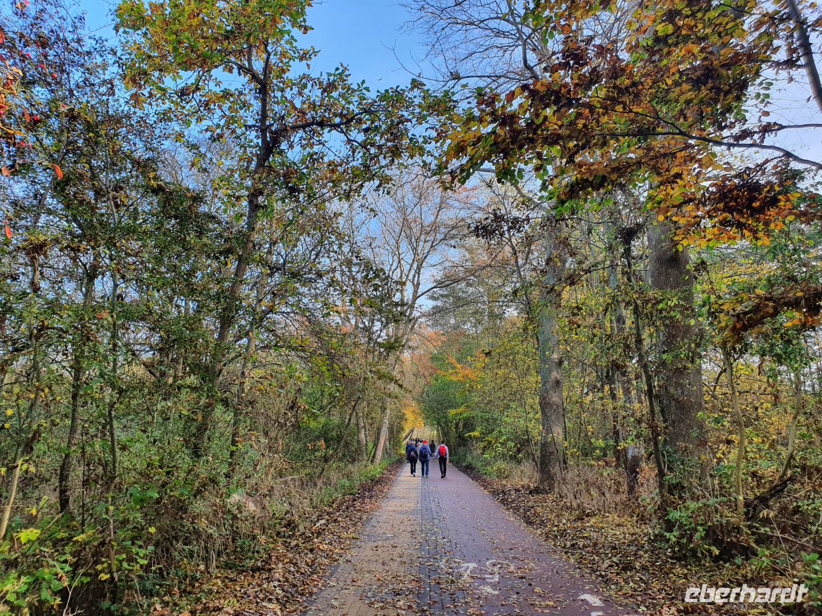 Spaziergang durch Ekopark