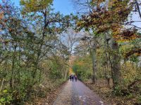 Spaziergang durch Ekopark