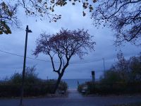 Strandimpressionen 3