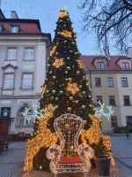 Jelenia Gora, Tannenbaum auf Marktplatz