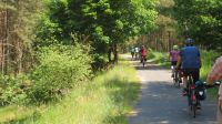 Radtour durch den Wald