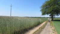 Radtour über Feldwege