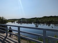 Naturschutzgebiet bei Kolberg