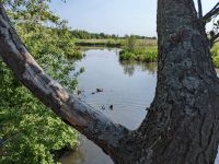 Naturschutzgebiet und Ökopark bei Kolberg