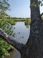 Naturlandschaft und Naturschutzgebiet bei Kolberg