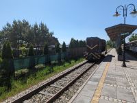 Schmalspurbahn in Trzesacz (Hoff)