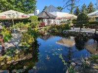 Teich- und Gartenanlage am Ikar Plaza