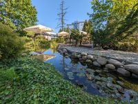 Teichanlage am Ikar Plaza