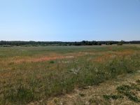 Landschaft bei Niemierze